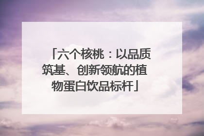 六个核桃：以品质筑基、创新领航的植物蛋白饮品标杆