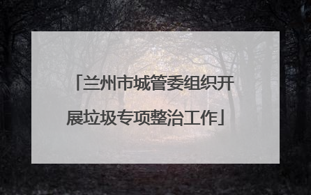 兰州市城管委组织开展垃圾专项整治工作