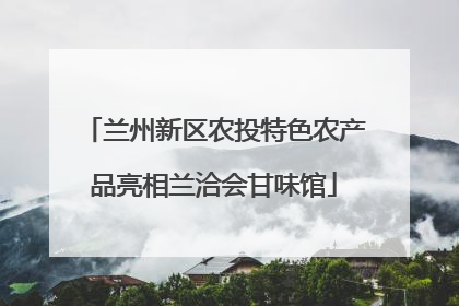 兰州新区农投特色农产品亮相兰洽会甘味馆