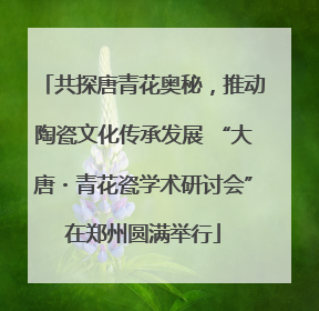 共探唐青花奥秘，推动陶瓷文化传承发展 “大唐・青花瓷学术研讨会”在郑州圆满举行