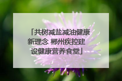 共树减盐减油健康新理念 郴州疾控建设健康营养食堂