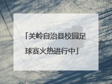 关岭自治县校园足球赛火热进行中