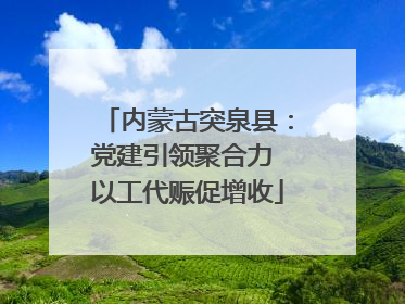 内蒙古突泉县：党建引领聚合力 以工代赈促增收