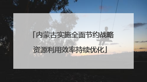 内蒙古实施全面节约战略 资源利用效率持续优化