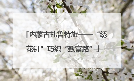 内蒙古扎鲁特旗——“绣花针”巧织“致富路”