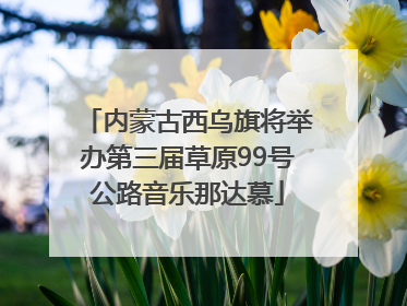 内蒙古西乌旗将举办第三届草原99号公路音乐那达慕