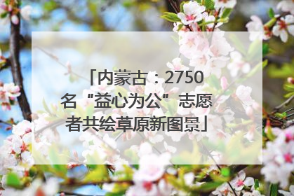 内蒙古：2750名“益心为公”志愿者共绘草原新图景