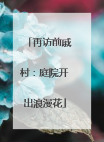 再访前戚村：庭院开出浪漫花