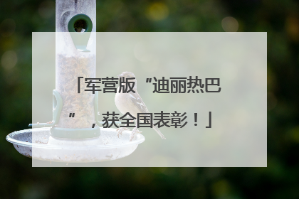 军营版“迪丽热巴”，获全国表彰！