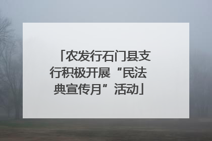 农发行石门县支行积极开展“民法典宣传月”活动