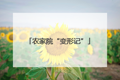 农家院“变形记”