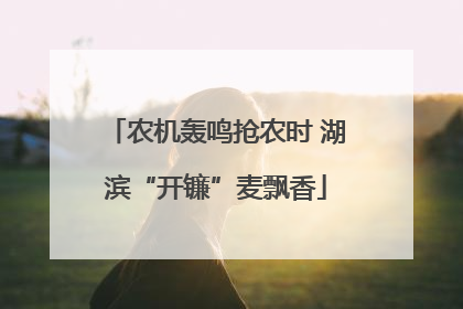 农机轰鸣抢农时 湖滨“开镰”麦飘香