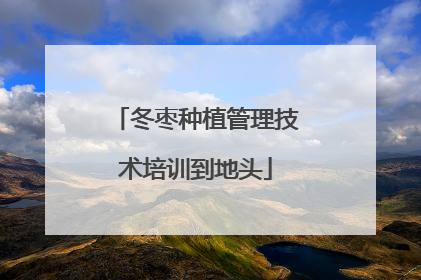 冬枣种植管理技术培训到地头