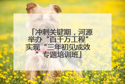 冲刺关键期，河源举办“百千万工程”实现“三年初见成效”专题培训班