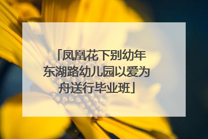 凤凰花下别幼年 东湖路幼儿园以爱为舟送行毕业班