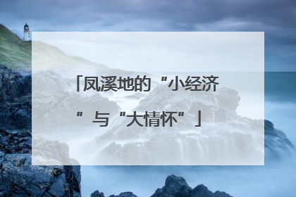凤溪地的“小经济”与“大情怀”