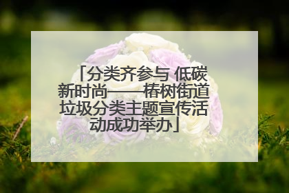分类齐参与 低碳新时尚——椿树街道垃圾分类主题宣传活动成功举办