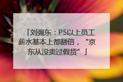 刘强东：P5以上员工薪水基本上都翻倍，“京东从没卖过假货”