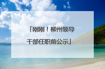 刚刚！柳州领导干部任职前公示