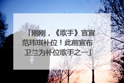 刚刚，《歌手》官宣范玮琪补位！此前宣布卫兰为补位歌手之一