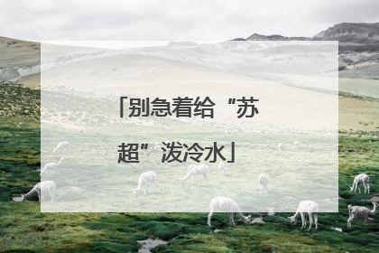 别急着给“苏超”泼冷水
