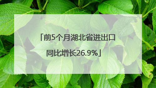 前5个月湖北省进出口同比增长26.9%