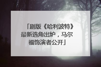 剧版《哈利波特》最新选角出炉，马尔福饰演者公开