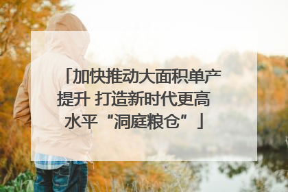加快推动大面积单产提升 打造新时代更高水平“洞庭粮仓”