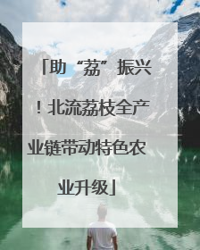 助“荔”振兴！北流荔枝全产业链带动特色农业升级