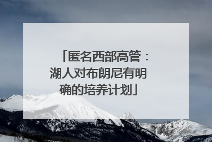 匿名西部高管：湖人对布朗尼有明确的培养计划