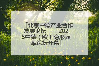 北京中德产业合作发展论坛——2025中德（欧）隐形冠军论坛开幕