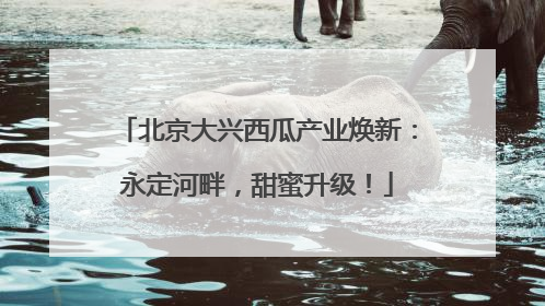 北京大兴西瓜产业焕新：永定河畔，甜蜜升级！