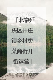 北京延庆区井庄镇乡村奥莱商街开街运营