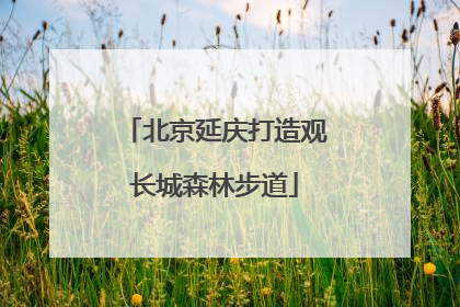 北京延庆打造观长城森林步道