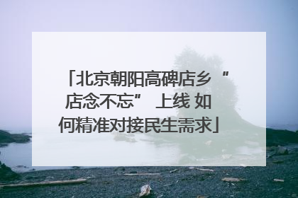 北京朝阳高碑店乡“店念不忘” 上线 如何精准对接民生需求