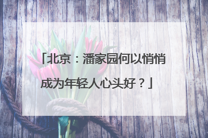 北京：潘家园何以悄悄成为年轻人心头好？