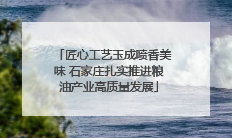 匠心工艺玉成喷香美味 石家庄扎实推进粮油产业高质量发展