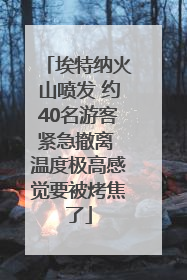 埃特纳火山喷发 约40名游客紧急撤离 温度极高感觉要被烤焦了