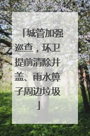城管加强巡查，环卫提前清除井盖、雨水箅子周边垃圾
