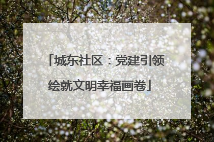 城东社区：党建引领绘就文明幸福画卷
