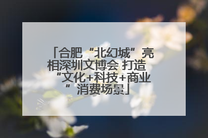合肥“北幻城”亮相深圳文博会 打造“文化+科技+商业”消费场景