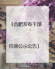 合肥发布干部任前公示公告