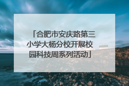 合肥市安庆路第三小学大杨分校开展校园科技周系列活动