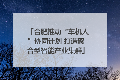合肥推动“车机人”协同计划 打造聚合型智能产业集群