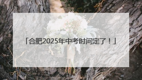 合肥2025年中考时间定了！