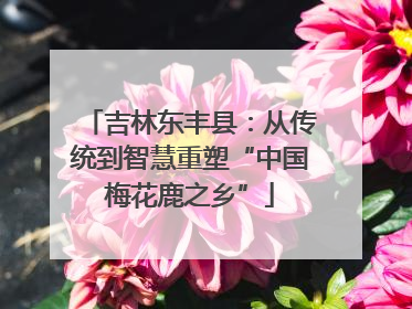 吉林东丰县：从传统到智慧重塑“中国梅花鹿之乡”