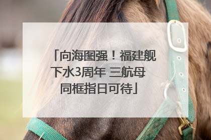 向海图强！福建舰下水3周年 三航母同框指日可待