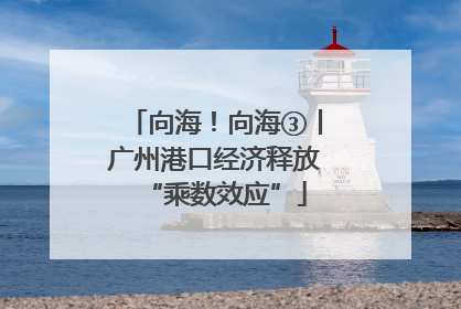向海！向海③丨广州港口经济释放“乘数效应”