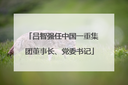 吕智强任中国一重集团董事长、党委书记