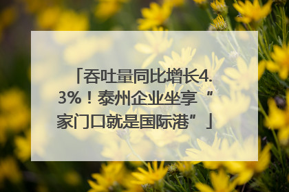吞吐量同比增长4.3%！泰州企业坐享“家门口就是国际港”